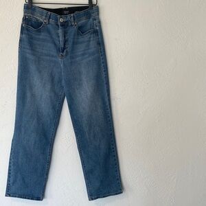 Curve Appeal High-Rise Straight Leg Blue Jeans with Comfort Waist